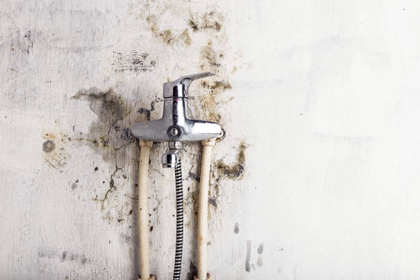 Certified Mold Removal in Montezuma, IA