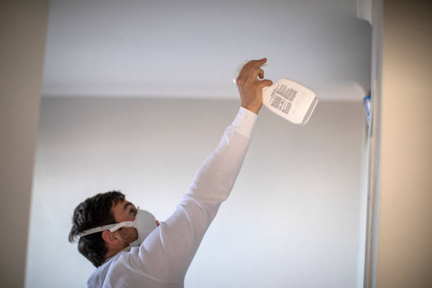 Best Mold Remediation  in Montezuma, IA