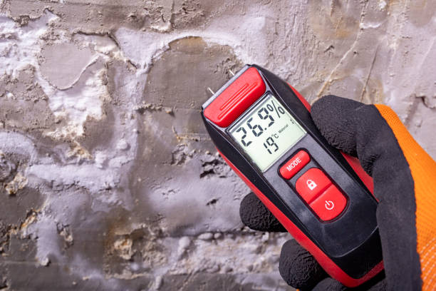 Best Mold Remediation  in Montezuma, IA