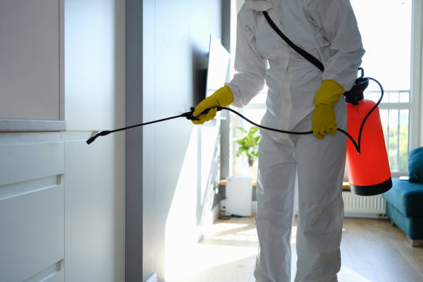 Best Residential Mold Removal  in Montezuma, IA