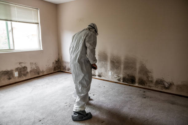 Best Residential Mold Removal  in Montezuma, IA